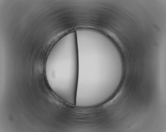 X0000113990833200910021008
