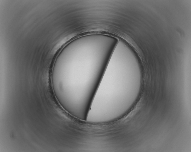 X0000113990834200910021008