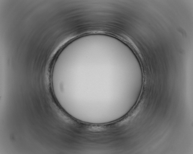 X0000113990835200910021008