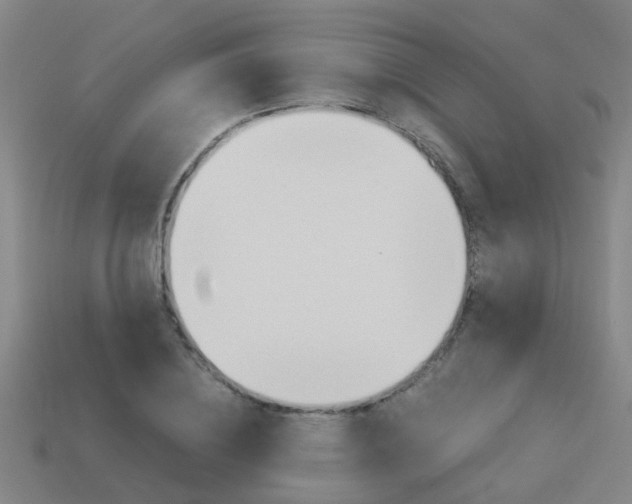 X0000113990836200910021008