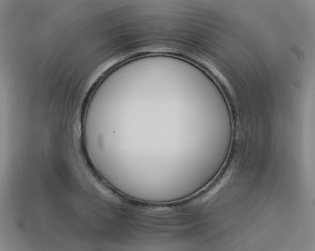 X0000113990837200910021008
