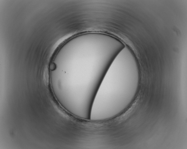 X0000113990838200910021008