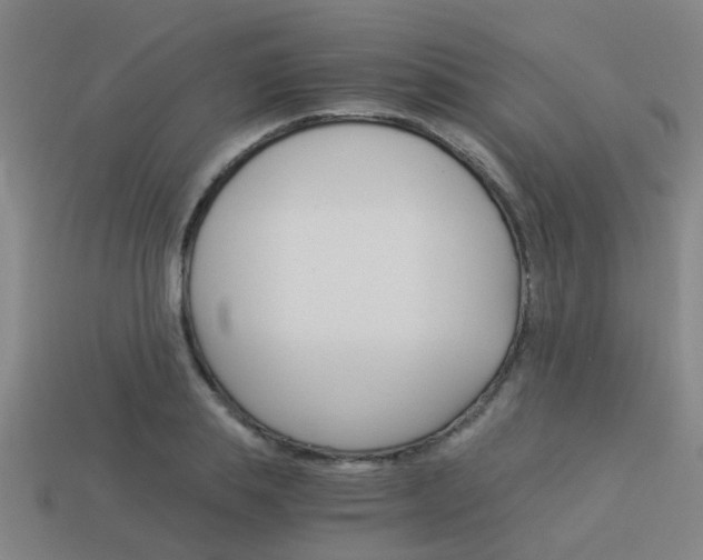 X0000113990839200910021008