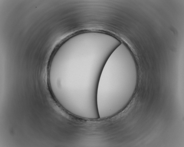 X0000113990840200910021008