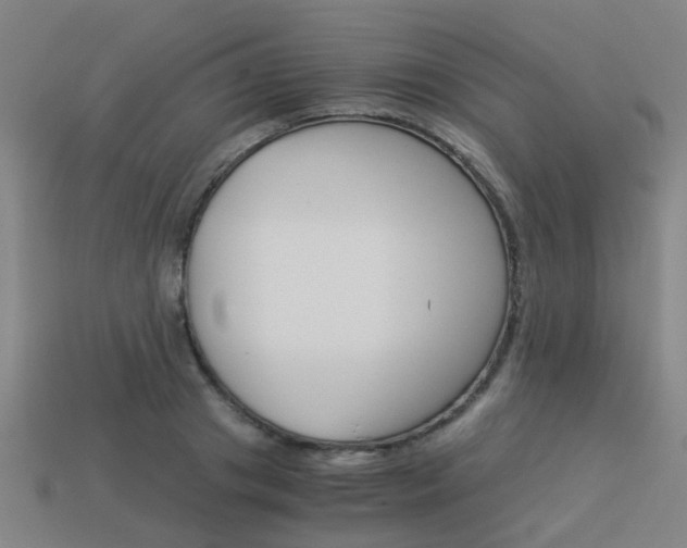 X0000113990841200910021008