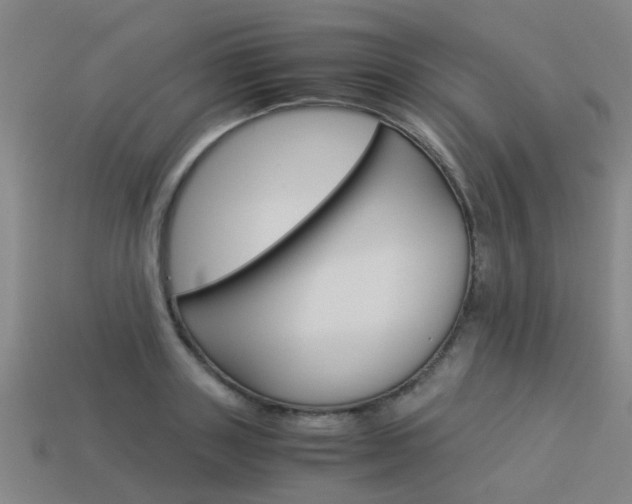 X0000113990843200910021008
