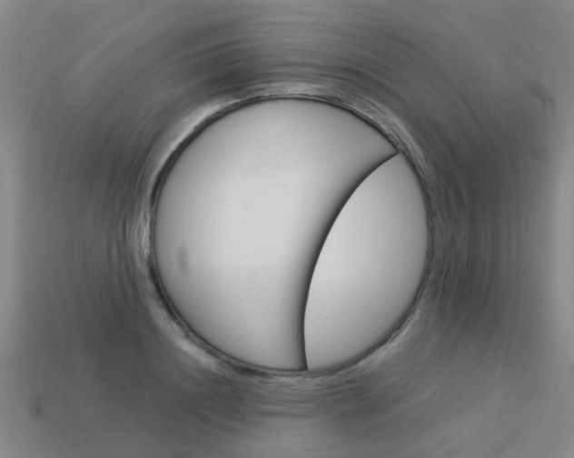 X0000113990844200910021008