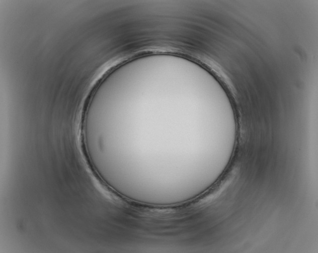 X0000113990845200910021008