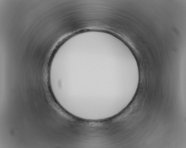 X0000113990848200910021008