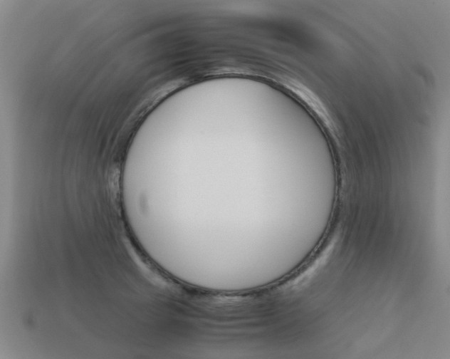X0000113990849200910021008