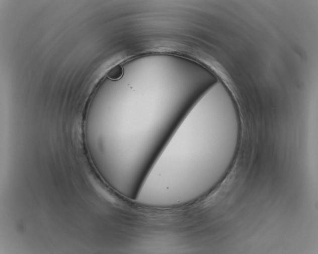 X0000113990850200910021008