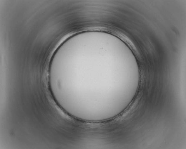 X0000113990852200910021008
