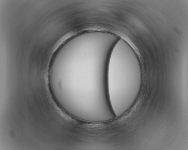 X0000113990853200910021008