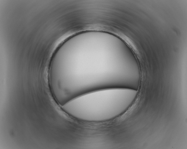 X0000113990854200910021008