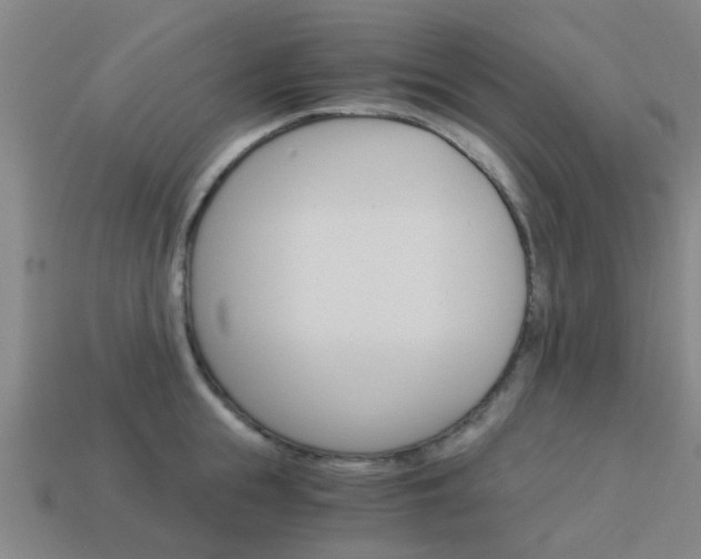 X0000113990855200910021008