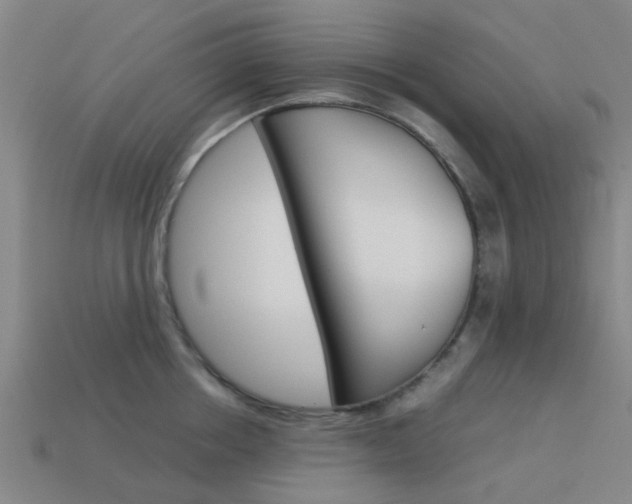 X0000113990858200910021008