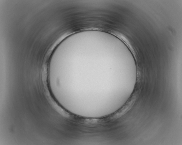 X0000113990859200910021008