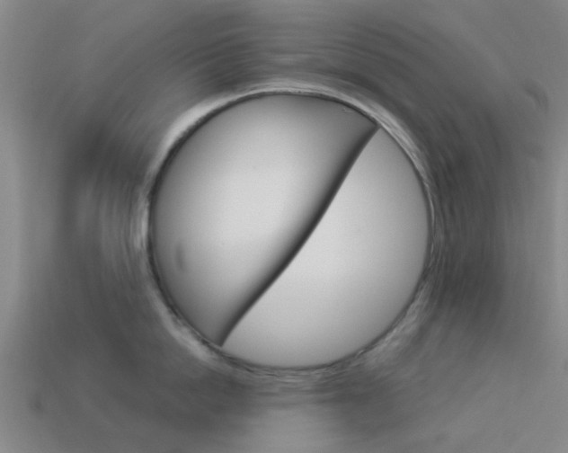 X0000113990862200910021008