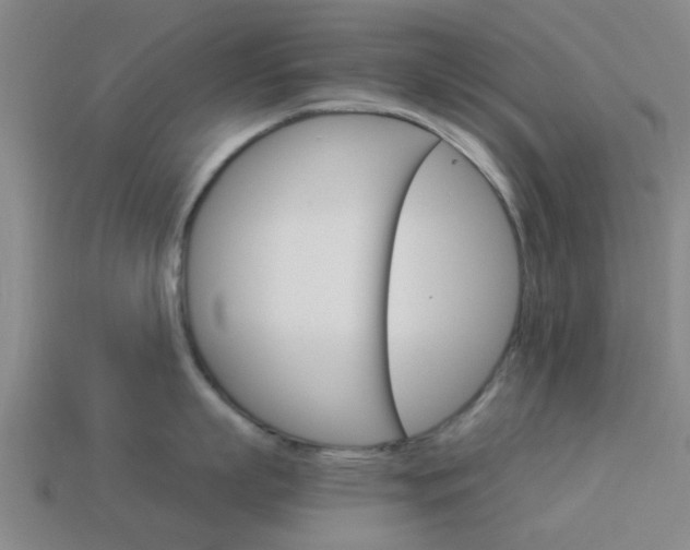 X0000113990863200910021008