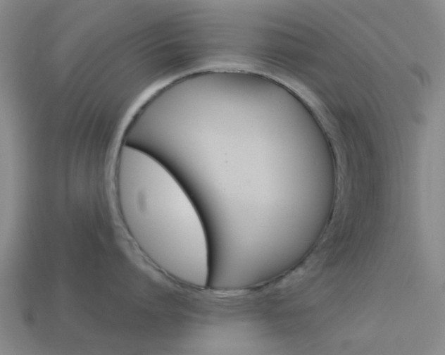 X0000113990864200910021009