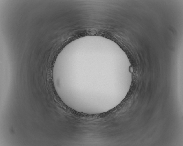 X0000113990865200910021008