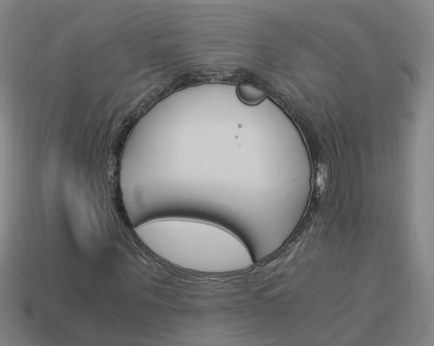 X0000113990867200910021008