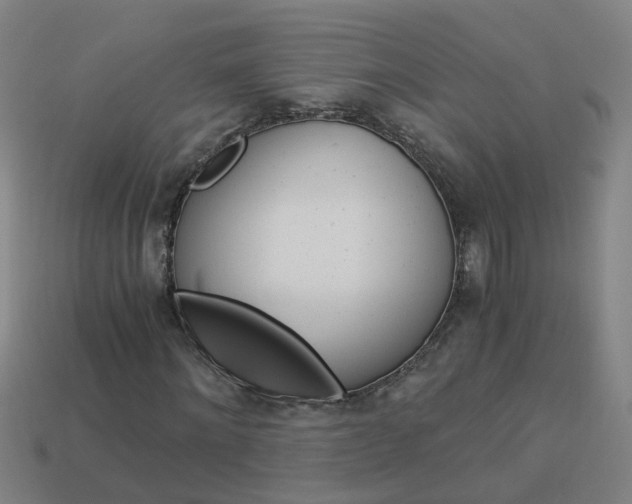 X0000113990868200910021008