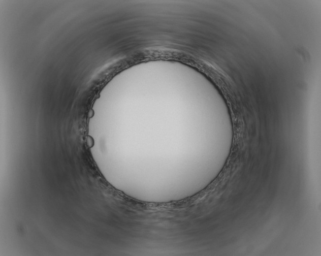 X0000113990870200910021008