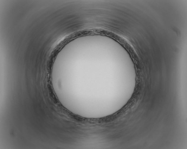 X0000113990871200910021008