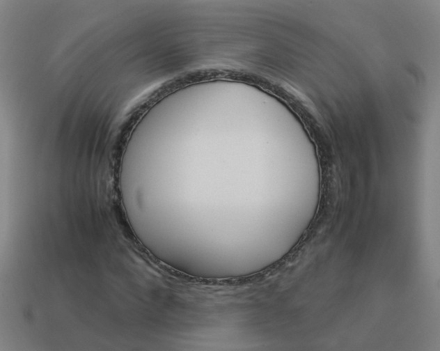 X0000113990872200910021008