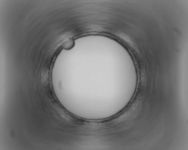X0000113990873200910021008