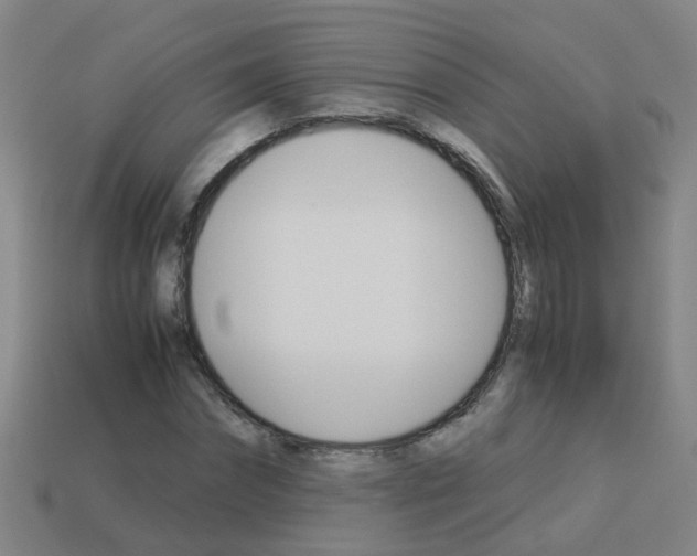 X0000113990874200910021008