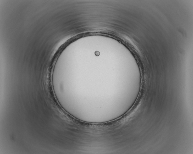 X0000113990875200910021008