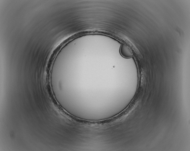 X0000113990876200910021008