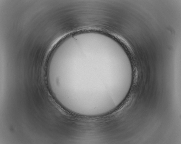 X0000113990878200910021008