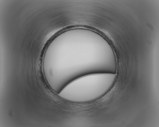 X0000113990879200910021008