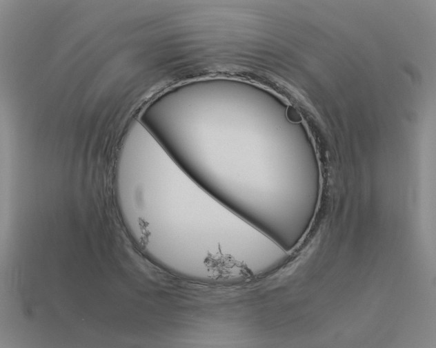X0000113990881200910021008