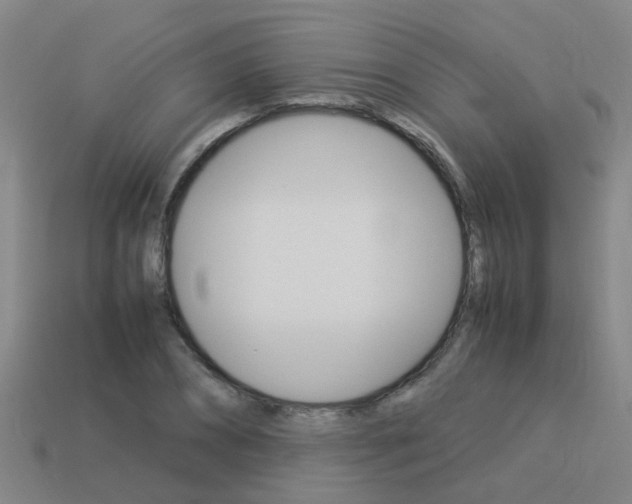 X0000113990882200910021008