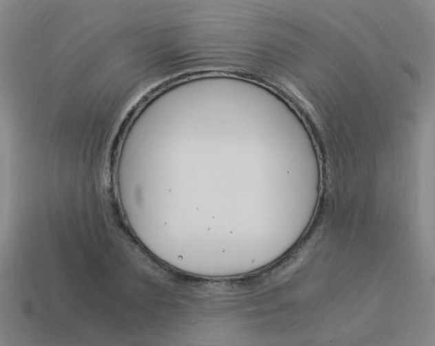 X0000113990883200910021008
