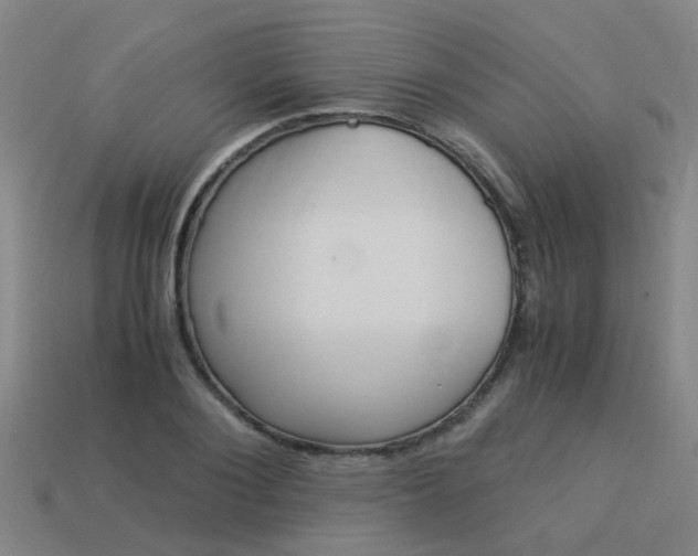 X0000113990884200910021008