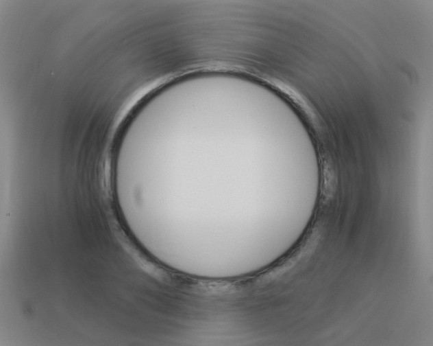 X0000113990886200910021008