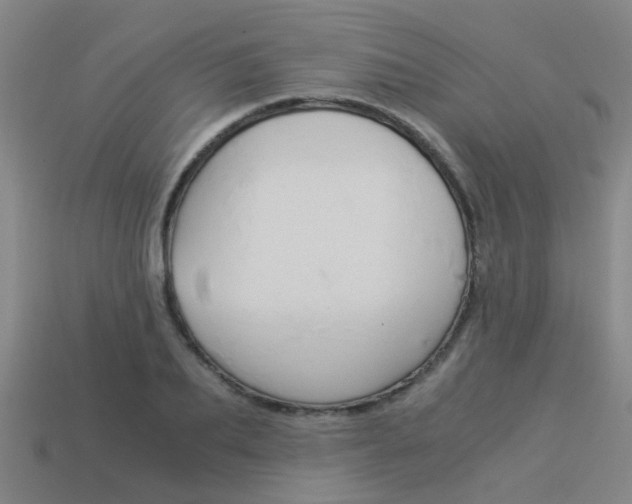 X0000113990887200910021008