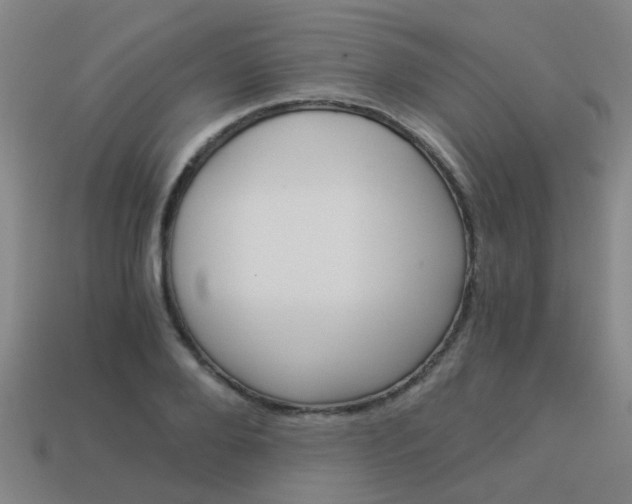 X0000113990888200910021008