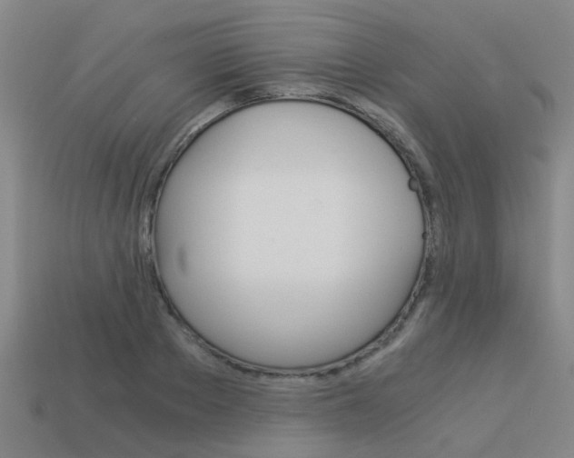 X0000113990889200910021008