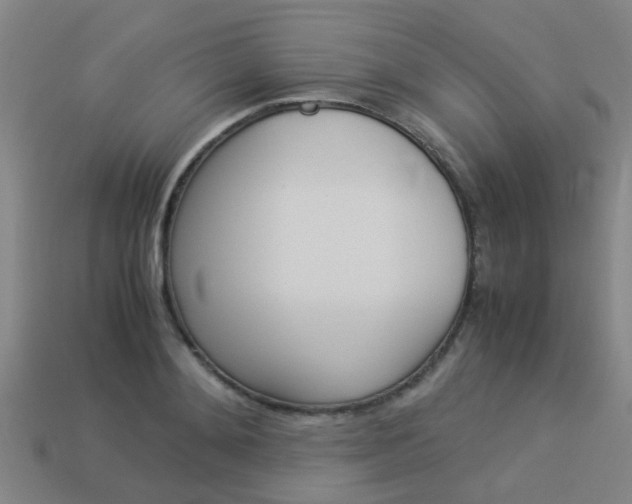 X0000113990892200910021008