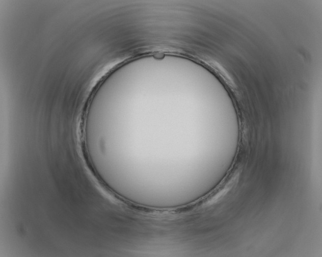 X0000113990893200910021008