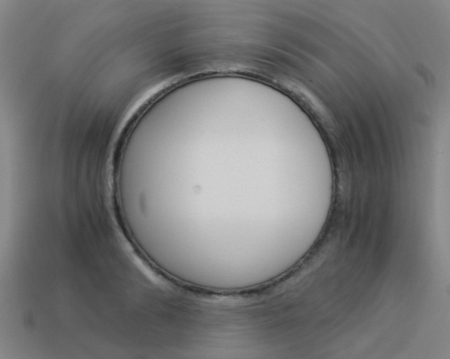 X0000113990894200910021008