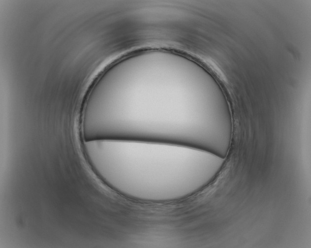 X0000113990895200910021008