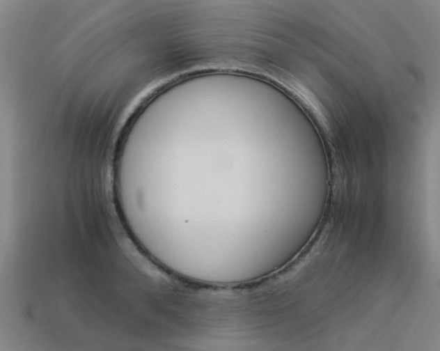 X0000113990896200910021007