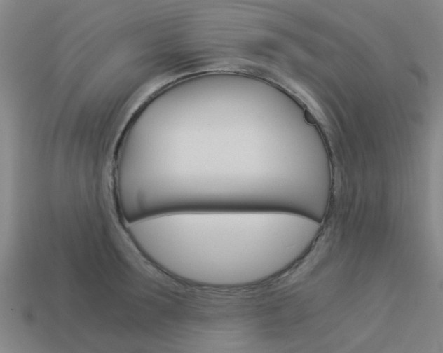 X0000113990899200910021007